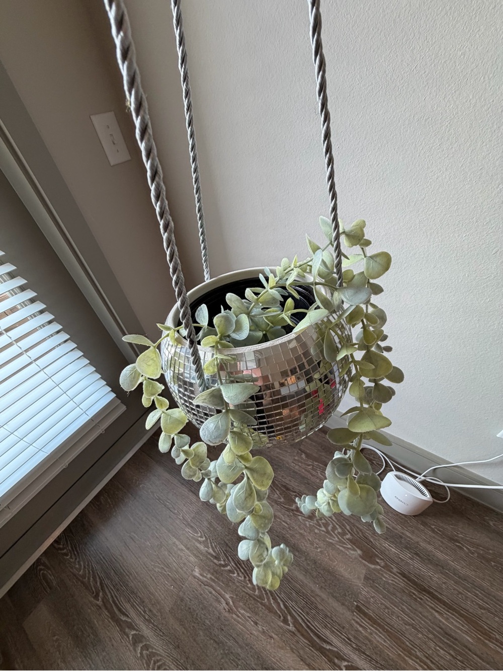 decor - Picture 7 of 9